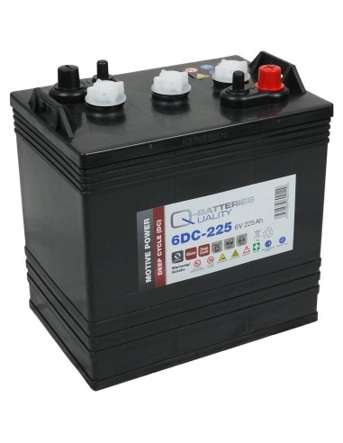 Q-BATTERIES BATERIA 6DC-225 DEEP CYCLE ELPT 225AH (C20) 6V